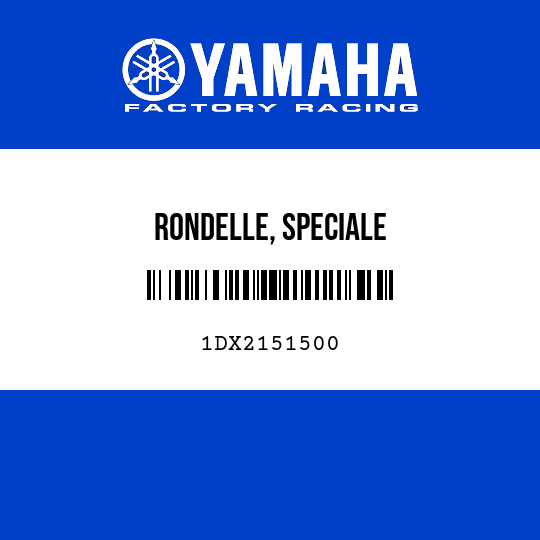 RONDELLE, SPECIALE