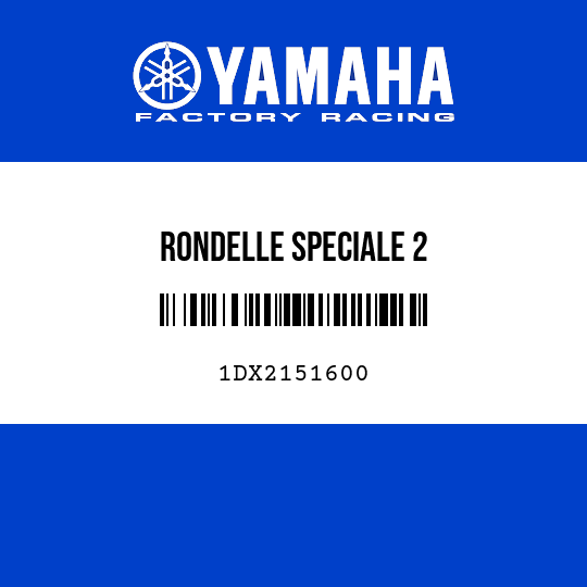 RONDELLE SPECIALE 2