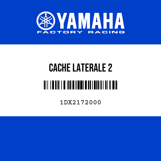 CACHE LATERALE 2
