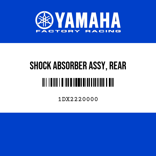 SHOCK ABSORBER ASSY, REAR