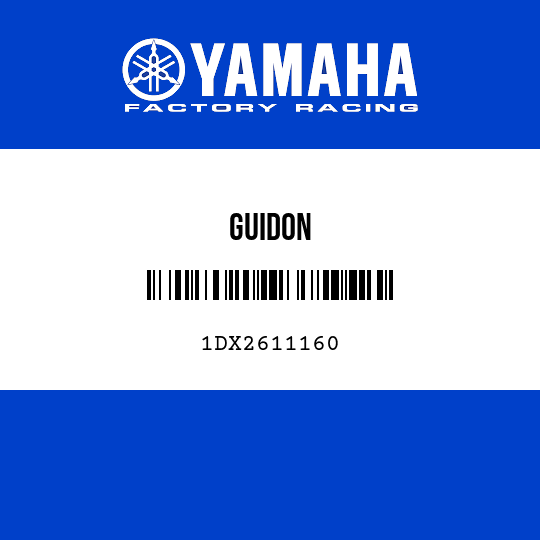 GUIDON