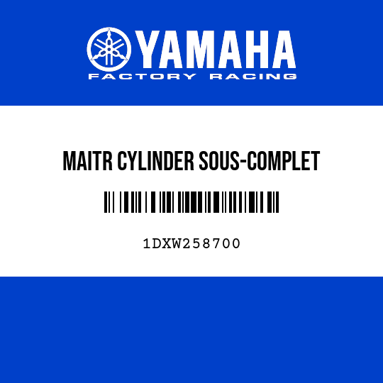 MAITR CYLINDER SOUS-COMPLET