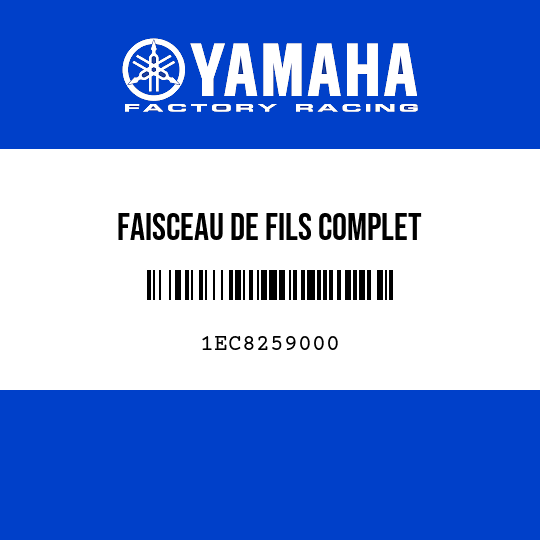 FAISCEAU DE FILS COMPLET