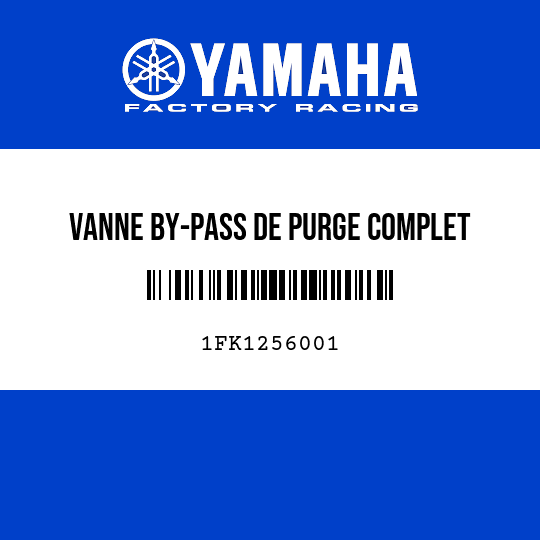 VANNE BY-PASS DE PURGE COMPLET