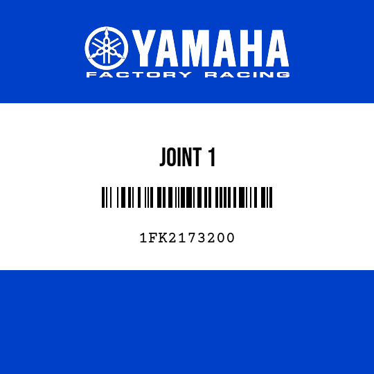 JOINT 1