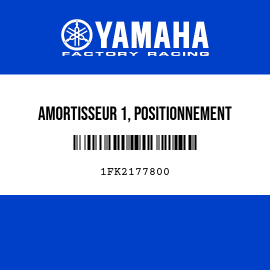 AMORTISSEUR 1, POSITIONNEMENT