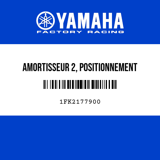 AMORTISSEUR 2, POSITIONNEMENT