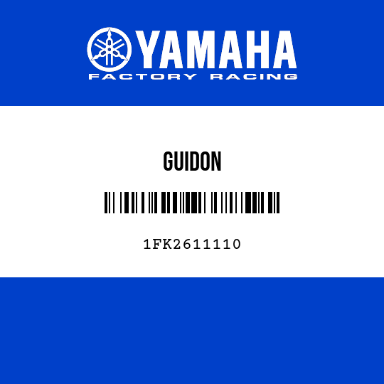 GUIDON