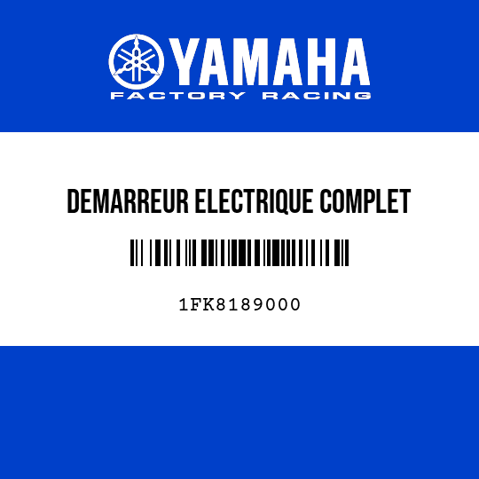 DEMARREUR ELECTRIQUE COMPLET