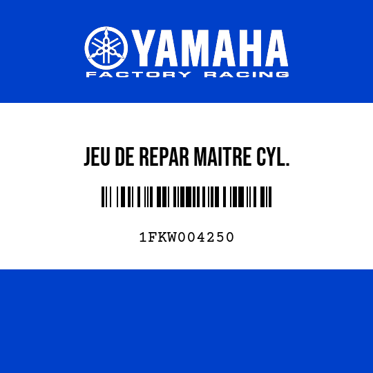JEU DE REPAR MAITRE CYL.