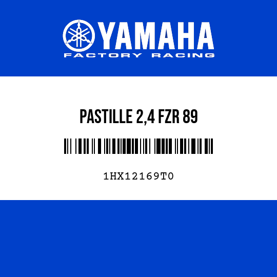 PASTILLE 2,4 FZR 89