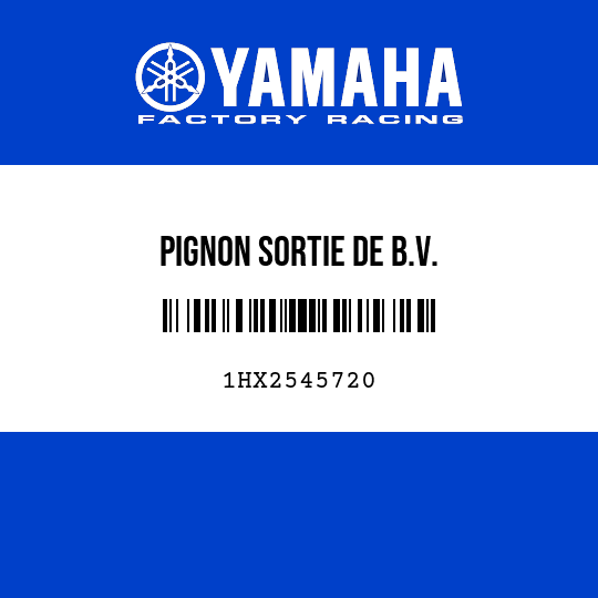 PIGNON SORTIE DE B.V.