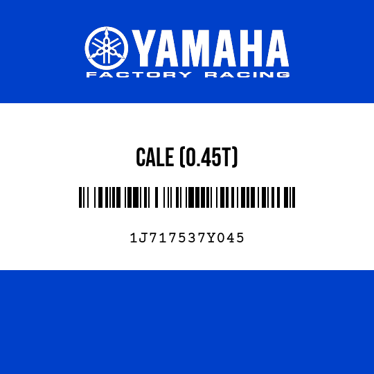 CALE (0.45T)