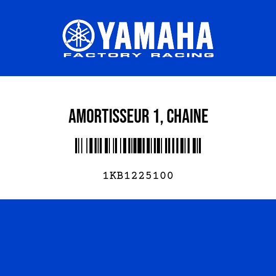 AMORTISSEUR 1, CHAINE