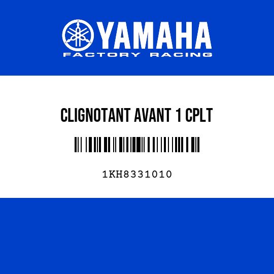CLIGNOTANT AVANT 1 CPLT