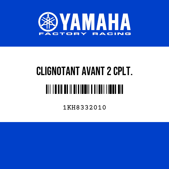CLIGNOTANT AVANT 2 CPLT.