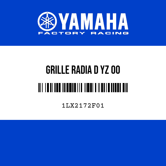GRILLE RADIA D YZ 00