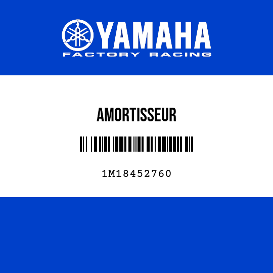 AMORTISSEUR
