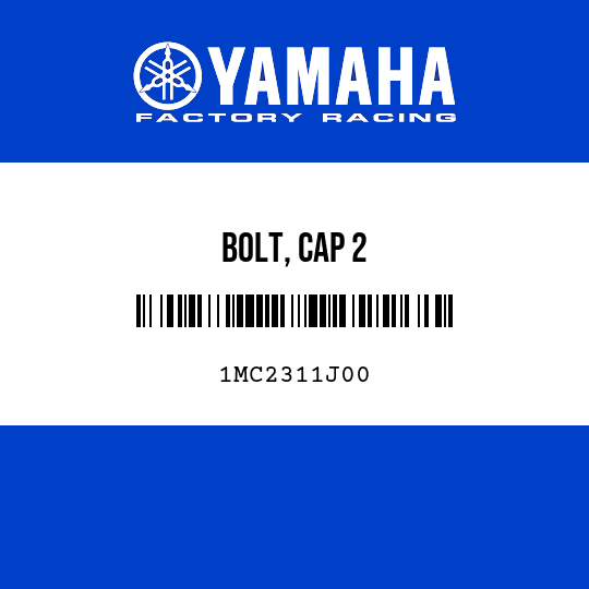 BOLT, CAP 2