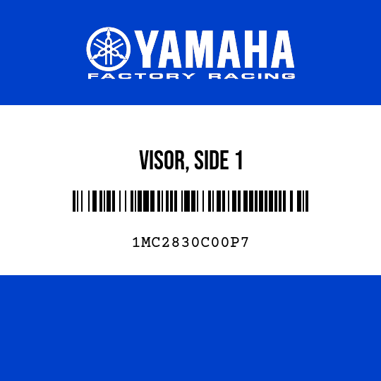 VISOR, SIDE 1