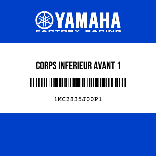 CORPS INFERIEUR AVANT 1