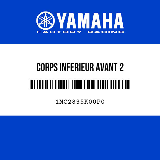 CORPS INFERIEUR AVANT 2