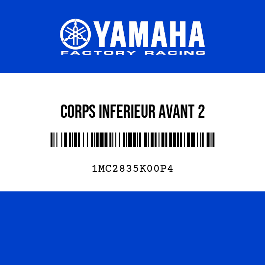 CORPS INFERIEUR AVANT 2
