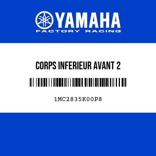 CORPS INFERIEUR AVANT 2