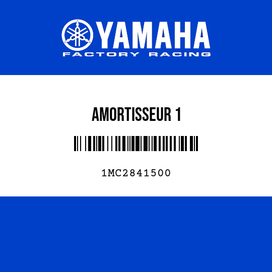 AMORTISSEUR 1