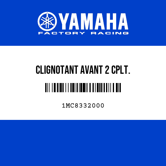 CLIGNOTANT AVANT 2 CPLT.