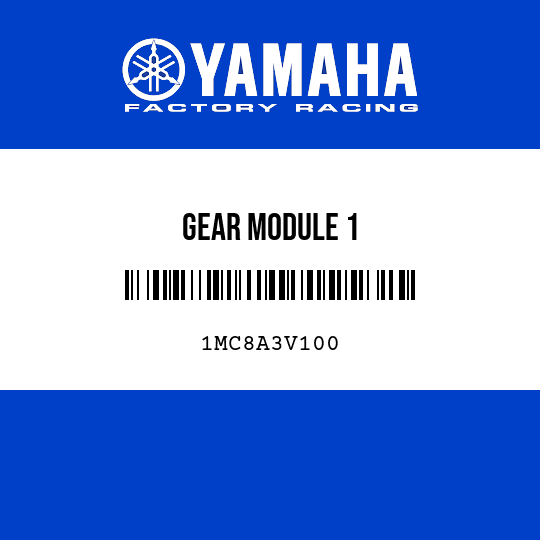 GEAR MODULE 1