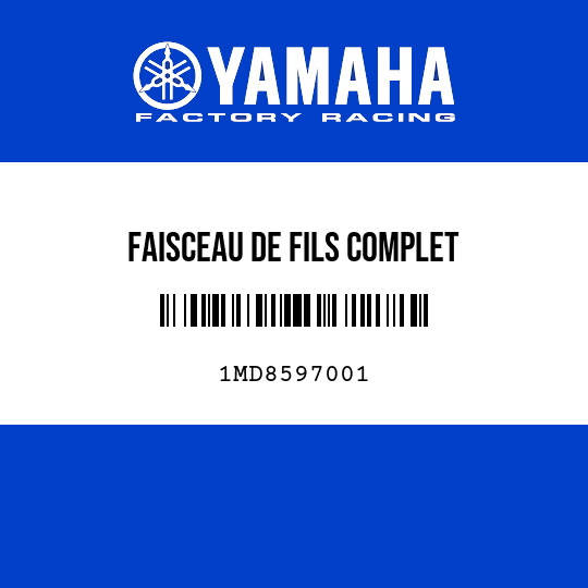 FAISCEAU DE FILS COMPLET
