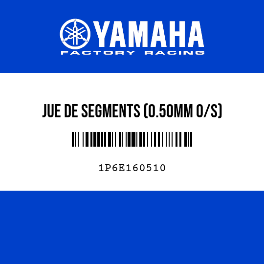 JUE DE SEGMENTS (0.50MM O/S)