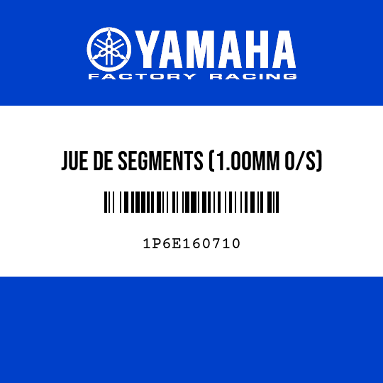 JUE DE SEGMENTS (1.00MM O/S)