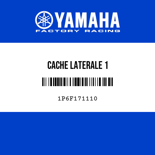 CACHE LATERALE 1