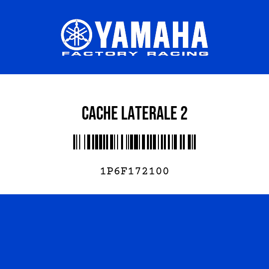 CACHE LATERALE 2