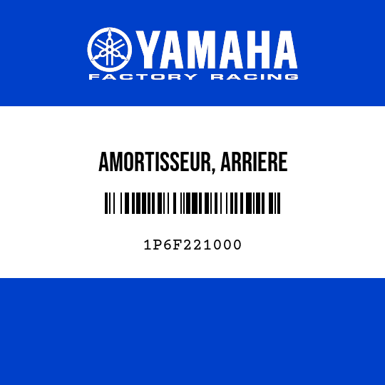 AMORTISSEUR, ARRIERE