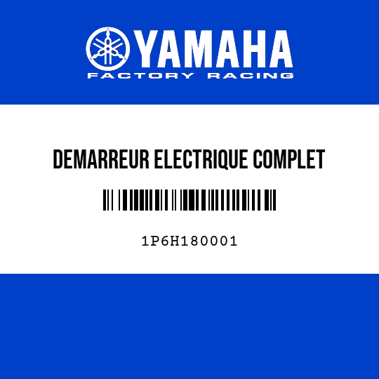 DEMARREUR ELECTRIQUE COMPLET