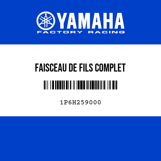 FAISCEAU DE FILS COMPLET