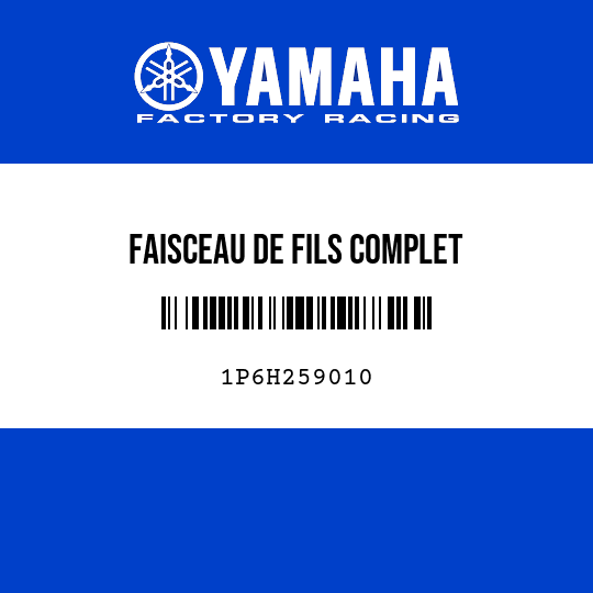FAISCEAU DE FILS COMPLET