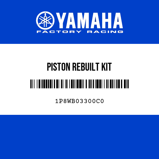 PISTON REBUILT KIT