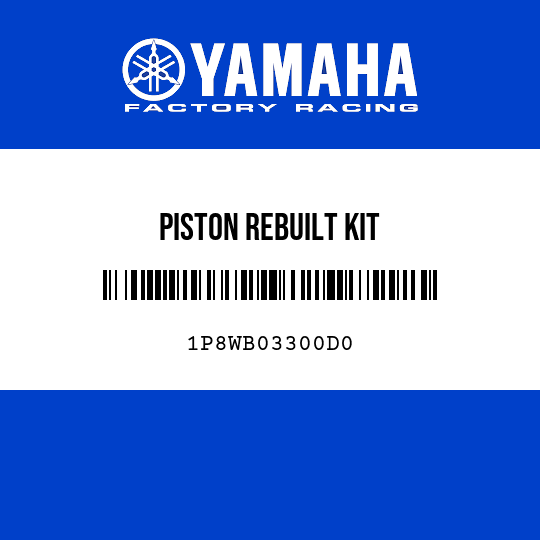 PISTON REBUILT KIT