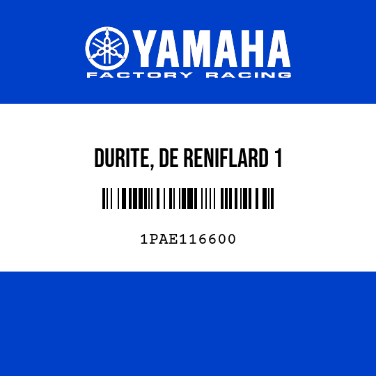 DURITE, DE RENIFLARD 1