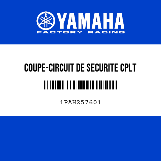 COUPE-CIRCUIT DE SECURITE CPLT