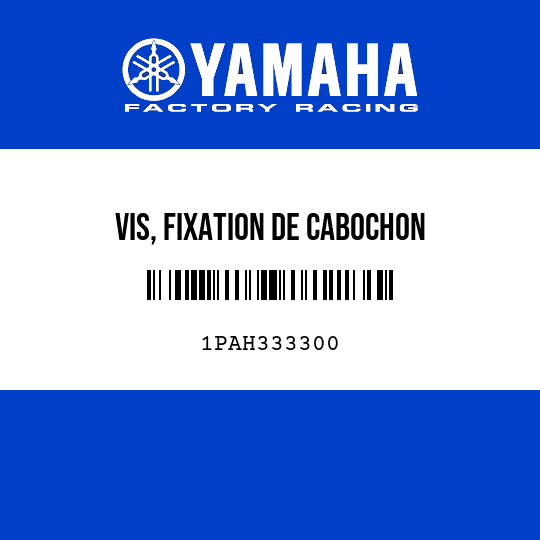 VIS, FIXATION DE CABOCHON