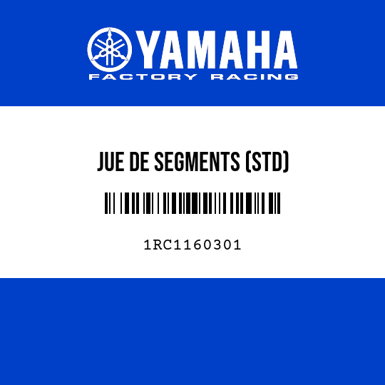 JUE DE SEGMENTS (STD)