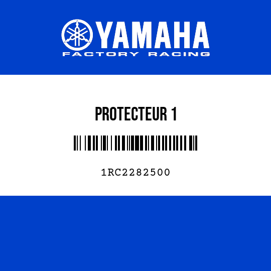 PROTECTEUR 1