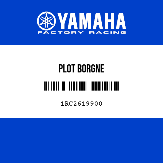 PLOT BORGNE