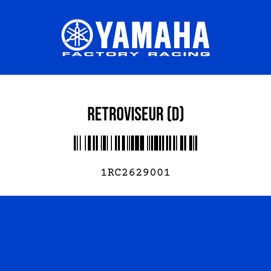 RETROVISEUR (D)