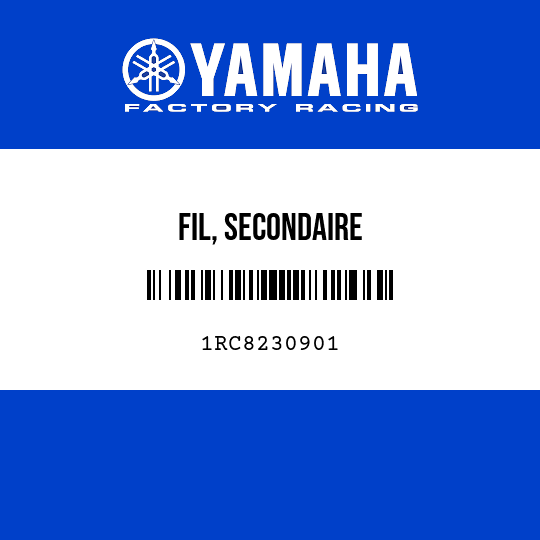 FIL, SECONDAIRE